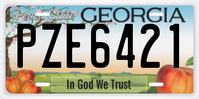 GA license plate PZE6421
