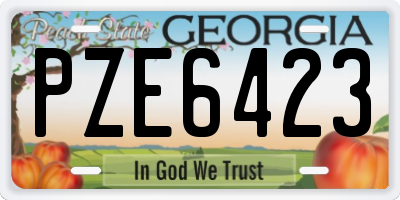 GA license plate PZE6423