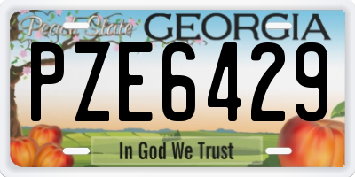 GA license plate PZE6429