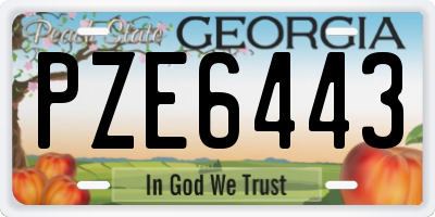 GA license plate PZE6443
