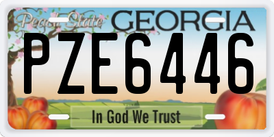 GA license plate PZE6446
