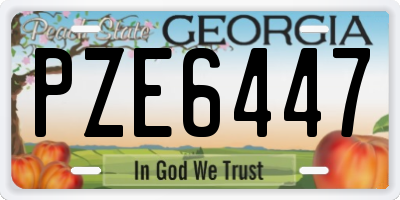 GA license plate PZE6447