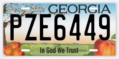 GA license plate PZE6449