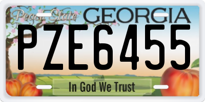 GA license plate PZE6455