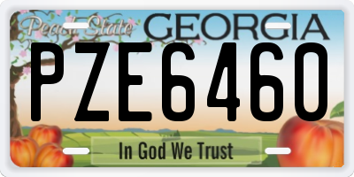 GA license plate PZE6460