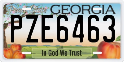 GA license plate PZE6463