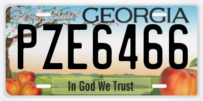 GA license plate PZE6466