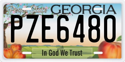 GA license plate PZE6480