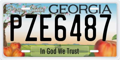 GA license plate PZE6487