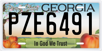 GA license plate PZE6491