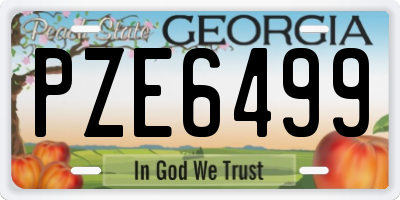 GA license plate PZE6499