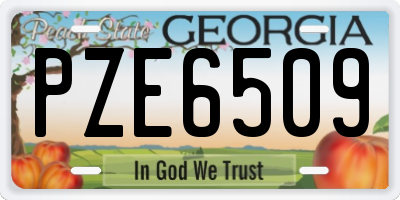 GA license plate PZE6509