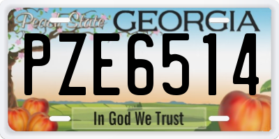 GA license plate PZE6514