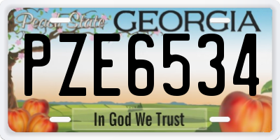 GA license plate PZE6534