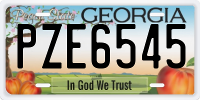 GA license plate PZE6545