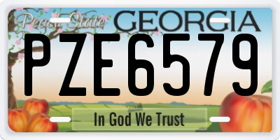 GA license plate PZE6579
