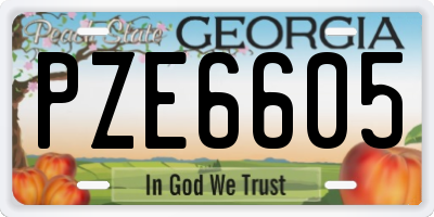 GA license plate PZE6605