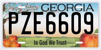 GA license plate PZE6609