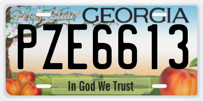 GA license plate PZE6613