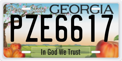GA license plate PZE6617