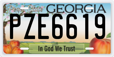 GA license plate PZE6619
