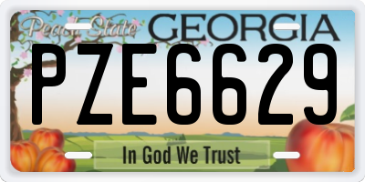 GA license plate PZE6629