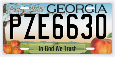 GA license plate PZE6630