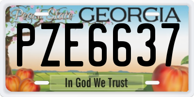 GA license plate PZE6637