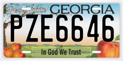 GA license plate PZE6646