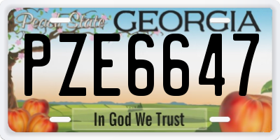 GA license plate PZE6647