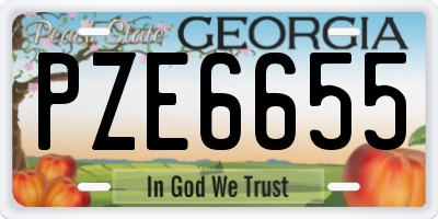 GA license plate PZE6655