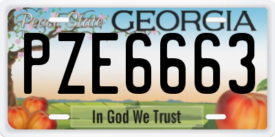 GA license plate PZE6663