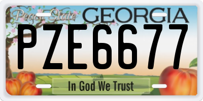 GA license plate PZE6677