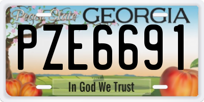 GA license plate PZE6691