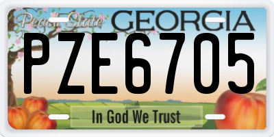 GA license plate PZE6705