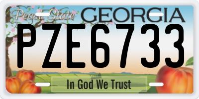 GA license plate PZE6733