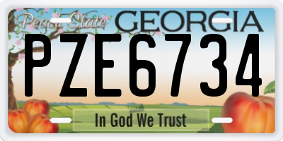 GA license plate PZE6734