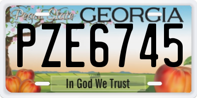 GA license plate PZE6745