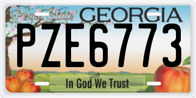 GA license plate PZE6773