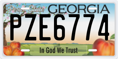 GA license plate PZE6774