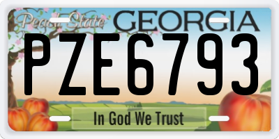 GA license plate PZE6793