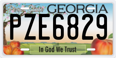 GA license plate PZE6829
