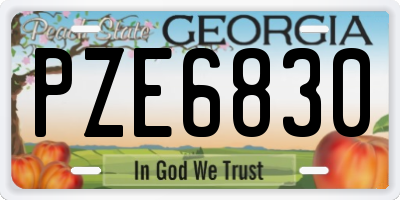 GA license plate PZE6830