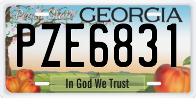 GA license plate PZE6831