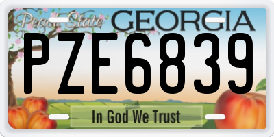 GA license plate PZE6839