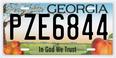 GA license plate PZE6844