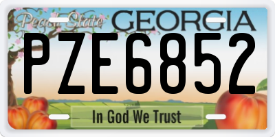 GA license plate PZE6852