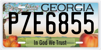 GA license plate PZE6855