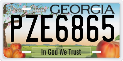 GA license plate PZE6865