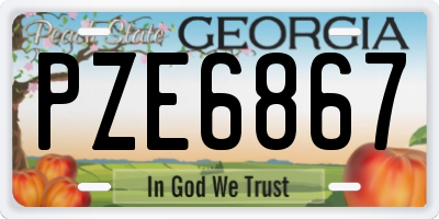 GA license plate PZE6867